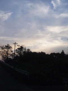 (untitled)