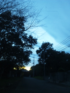 (untitled)