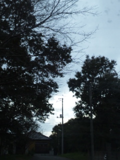 (untitled)