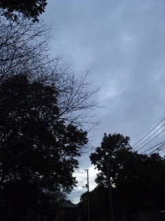 (untitled)