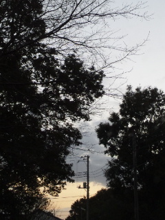 (untitled)