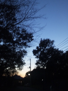 (untitled)