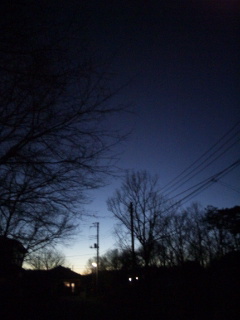 (untitled)