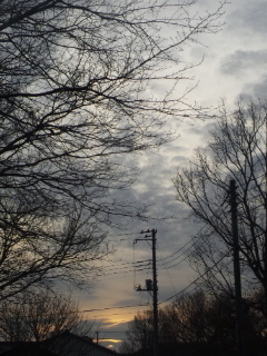 (untitled)