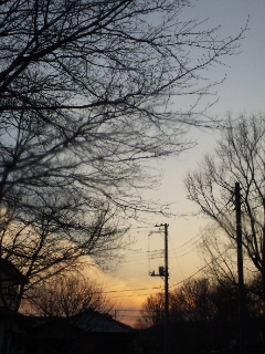 (untitled)