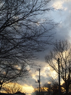 (untitled)