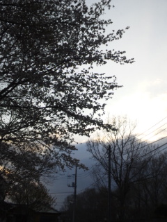 (untitled)