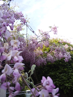 (untitled)