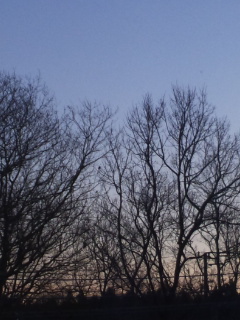 (untitled)