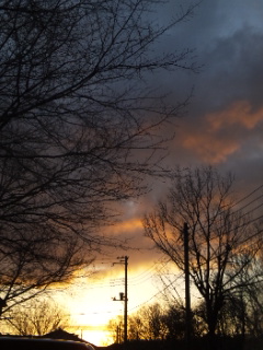 (untitled)