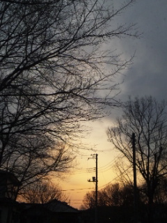 (untitled)
