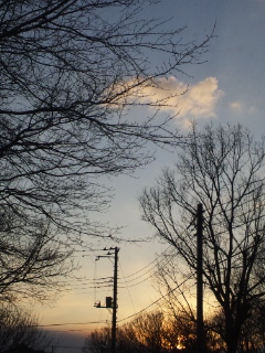 (untitled)