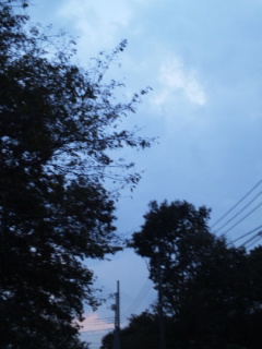 (untitled)