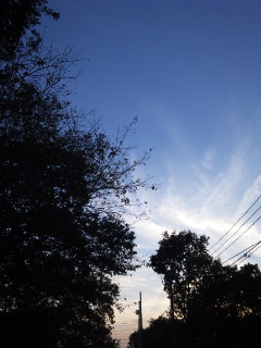 (untitled)