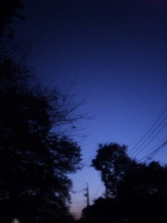 (untitled)