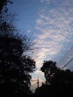 (untitled)