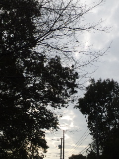 (untitled)