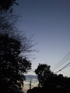 (untitled)