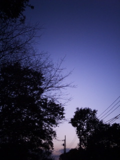 (untitled)