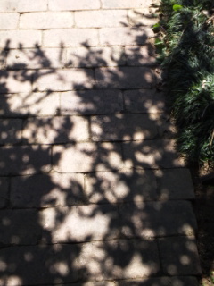 (untitled)