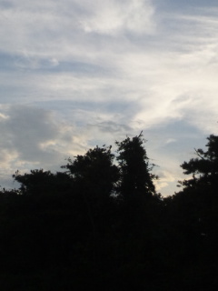 (untitled)