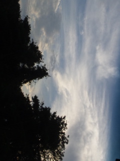 (untitled)