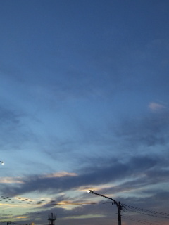 (untitled)