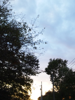 (untitled)