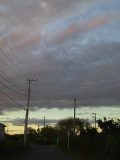 (untitled)