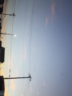 (untitled)