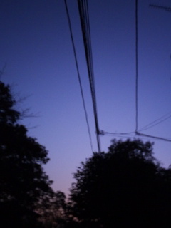 (untitled)