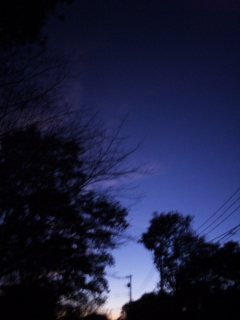 (untitled)