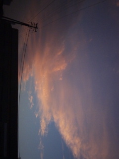 (untitled)
