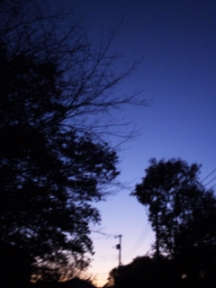 (untitled)