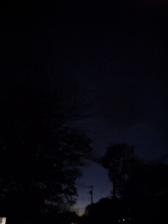 (untitled)