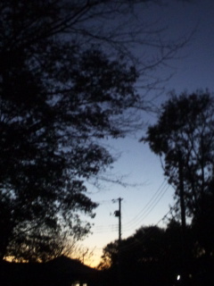 (untitled)
