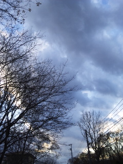 (untitled)