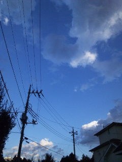 (untitled)