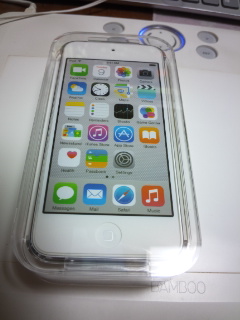iPad touch
