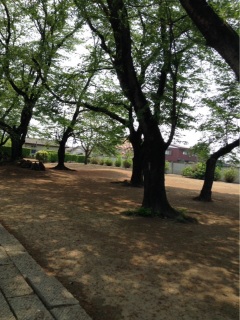 150425