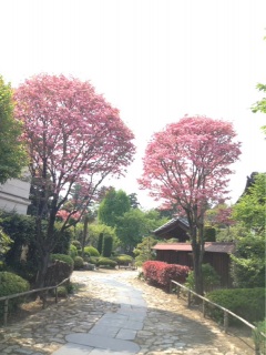 150425