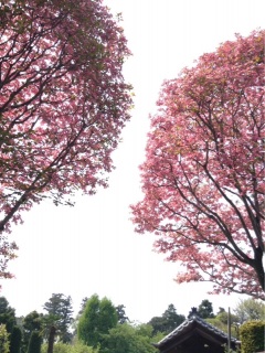 150425