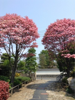 150425