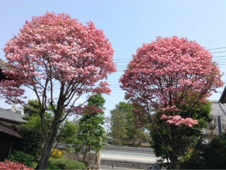 150425