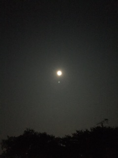 満月