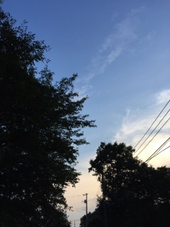 150804