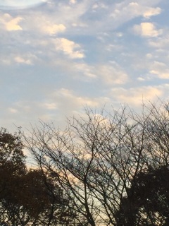 151205
