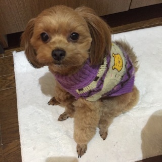 151224