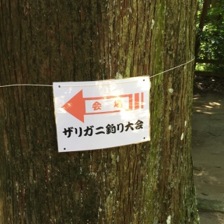 �s������