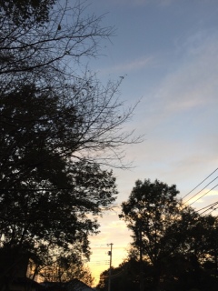 空